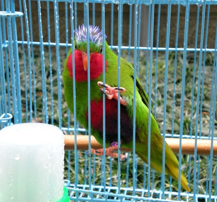 Foto 5